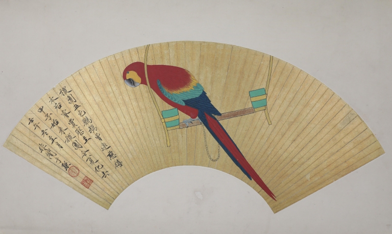 鹦鹉(1)