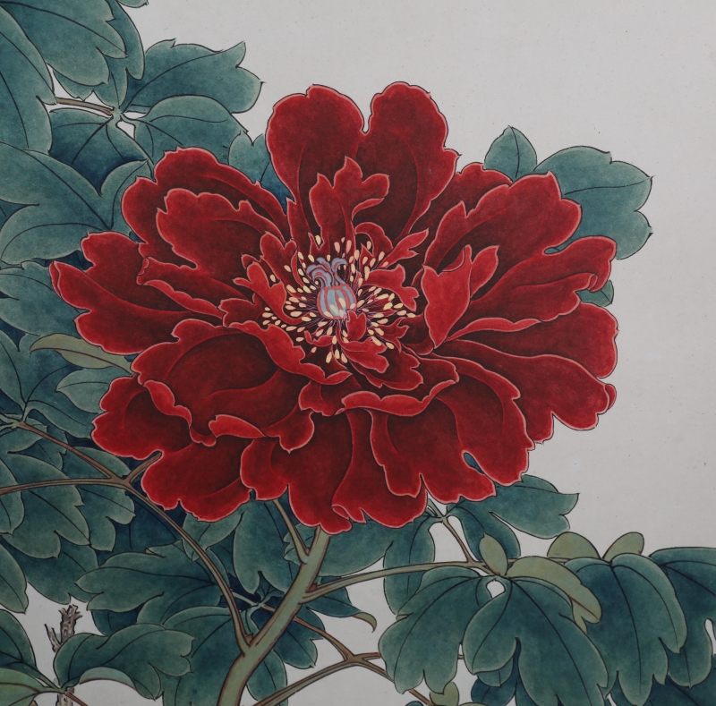 牡丹富贵图(4)