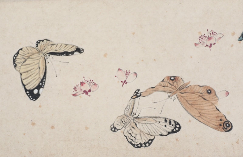 穿花飞蝶(4)