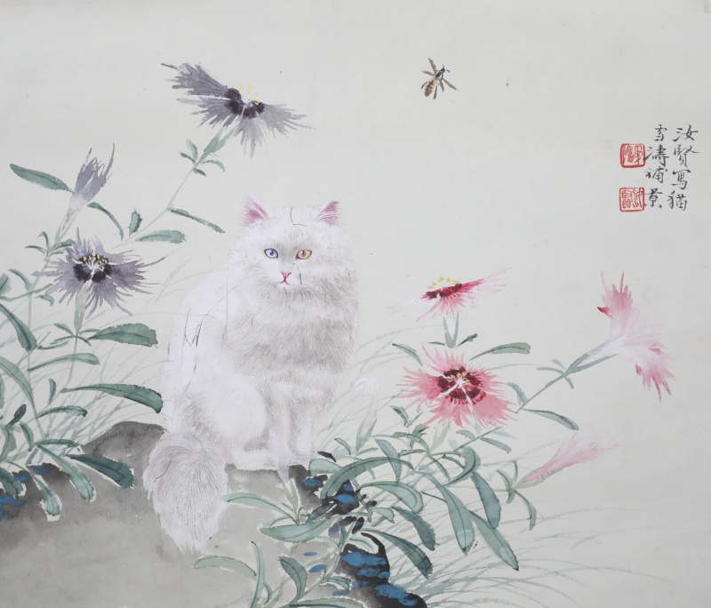 猫(4)