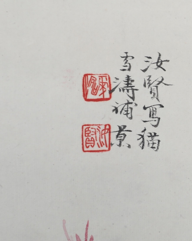 猫(2)