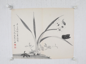 兰蝶图(6)
