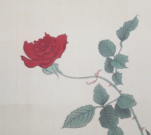 瓶花(3)