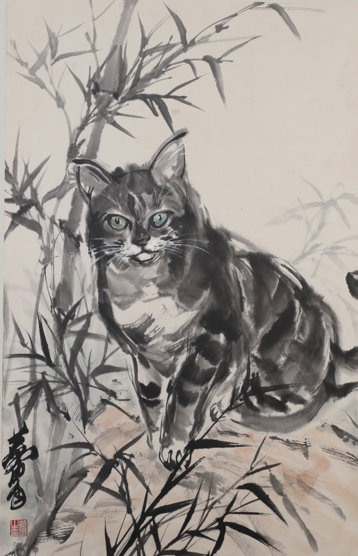 猫趣图(1)