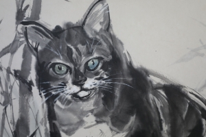 猫趣图(3)