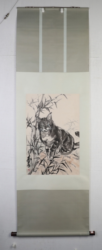 猫趣图(5)