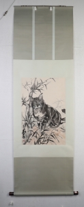 猫趣图(5)