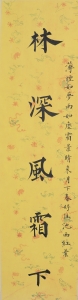 (5)