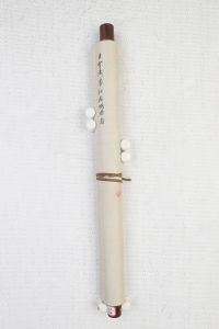 红梅(5)