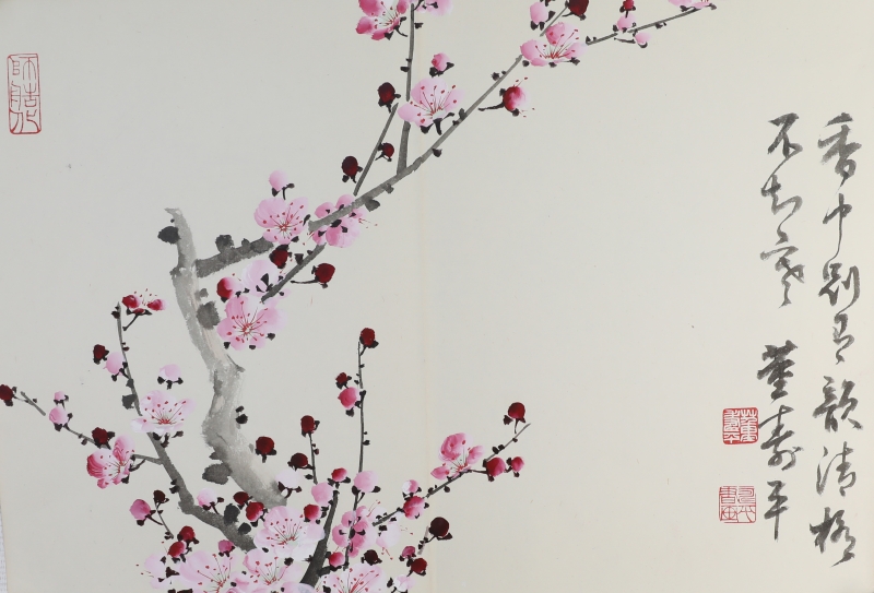 粉梅(1)