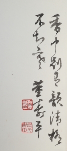 粉梅(2)