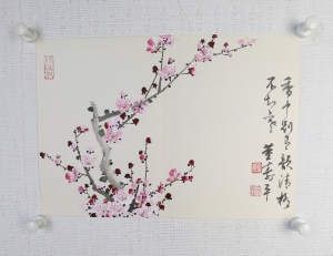 粉梅(5)