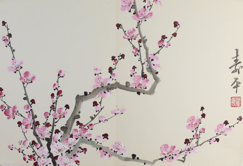 粉梅(1)