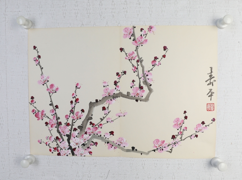 粉梅(5)
