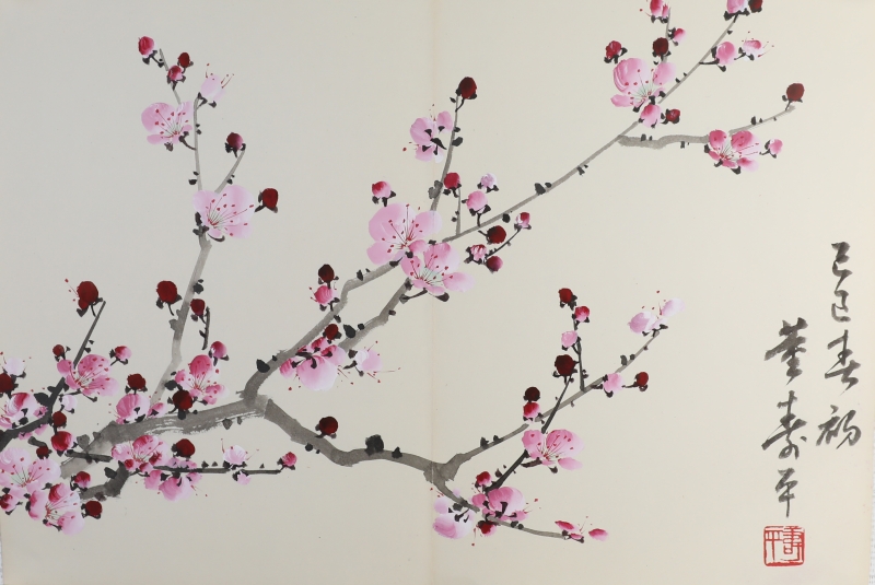 粉梅(1)