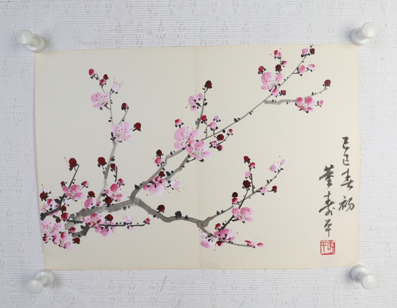 粉梅(5)