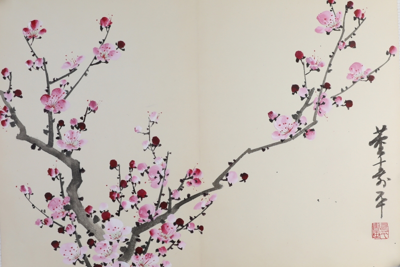 粉梅(1)