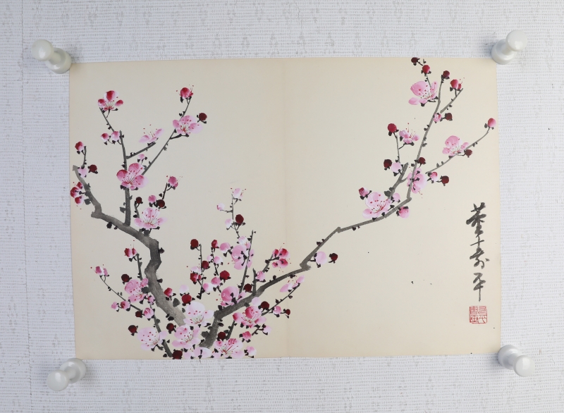 粉梅(5)