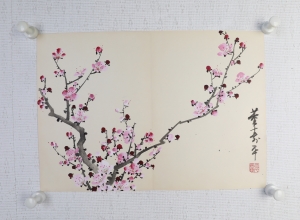 粉梅(5)