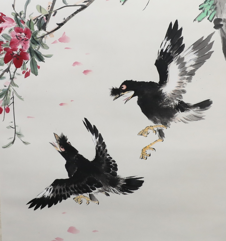 桃花八哥(3)